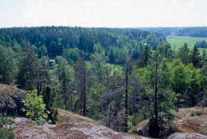 Sipoonkorpi